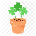 Clover Houseplant  Icon