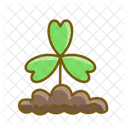 Clover Icon