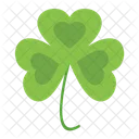 Clover  Icon