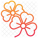 Clover  Icon