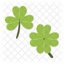 Clover Flower Floral Icon