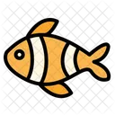 Clown Fish Fish Aquatic Animal Icon