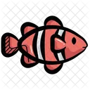 Clown Fish Fish Ocean Icon