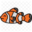 Clown Fish Anemonefish Ocellaris Icon