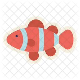 Clown Fish  Icon