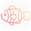 Clown fish  Icon