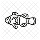 Clown Fish  Icon