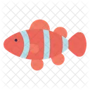 Clown Fish  Icon