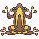 Clown Frog  Icon