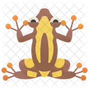 Clown Frog  Icon
