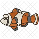 Clown Sea Culture Fish Icône