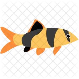 Clown Loach Fish  Icon