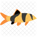 Clown Loach Fish Icon