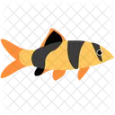 Clown Loach Fish Sea Creature Animal Icon