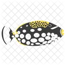 Clown Triggerfish Icon