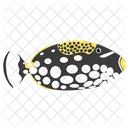 Clown Triggerfish Sea Creature Animal Icon