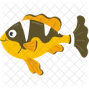 Clownfisch  Symbol