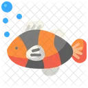 Clownfisch  Symbol