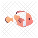 Clownfish Fish Reef Icon