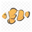 Clownfish Clown Fish Icon