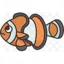 Clownfish  Icon
