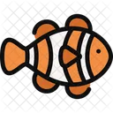 Clownfish Animal Fauna Icon