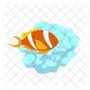 Clownfish living in coral reef  Icon