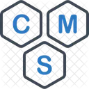 Cms Content Management Icon