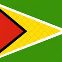 Co Operative Republic Of Guyana Flag Country Icon