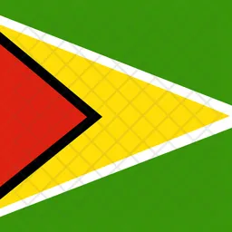 Co-operative republic of guyana  Icon