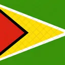 Co Operative Republic Of Guyana Flag Country Symbol