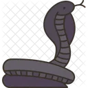 Cobra Snake Poison Icon