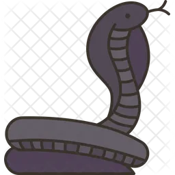 Cobra  Icon