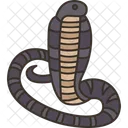 Cobra  Icono
