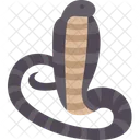 Cobra  Icon