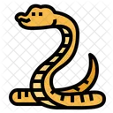 Cobra  Icon