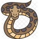 Cobra Python Birmanes Icon