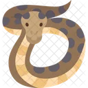 Cobra Python Birmanes Icon