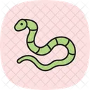 Cobra Do Leite Cobra Do Leite Reptil Ícone