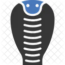 Cobra  Icon