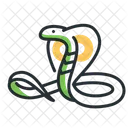 Cobra  Icon