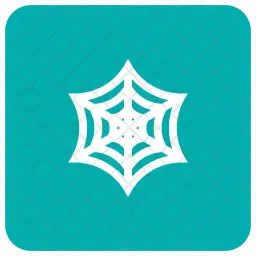 Cobweb  Icon