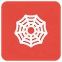 Cobweb Spider Insect Icon