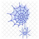 Cobweb Spider Web Icon