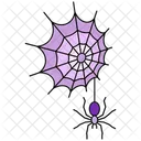 Cobweb  Icon