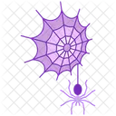 Cobweb Spider Web Icon