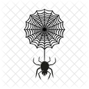 Cobweb  Icon