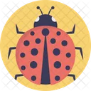 Coccinélidos  Icono