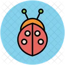 Coccinella Insetto Coccinella Icon