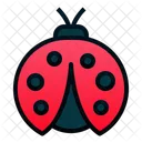 Coccinella Insetto Insetto Icon